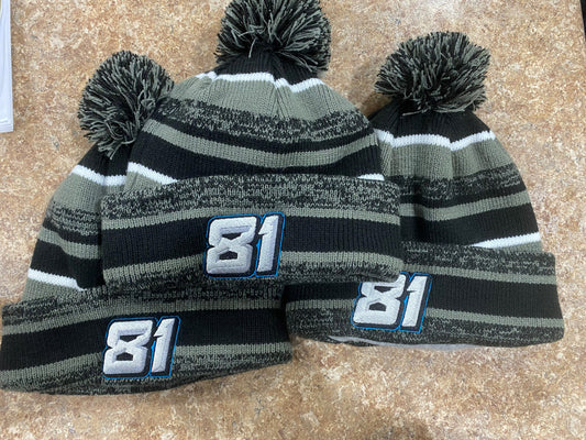 81 Sideline Stocking Cap